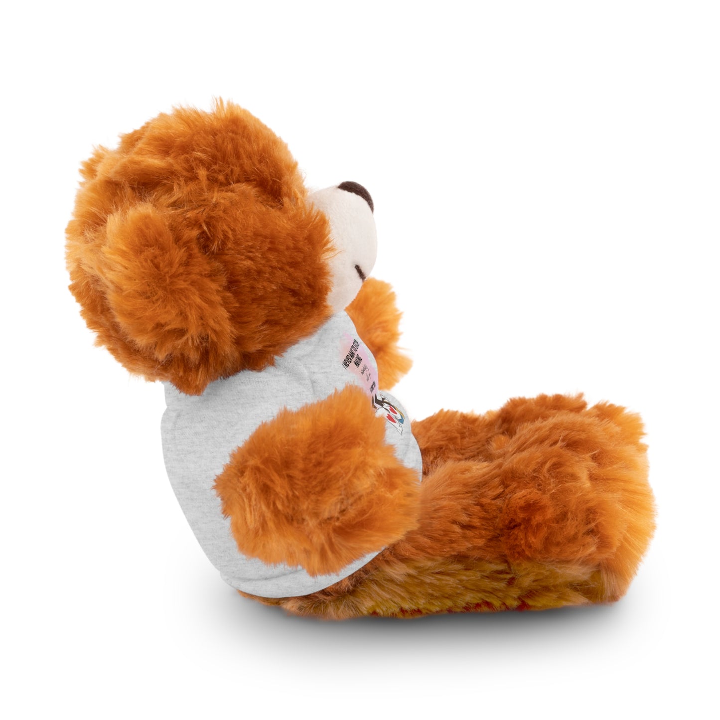 Stuffed Animals with Tee valentine gifts for your loved ones | valentine special