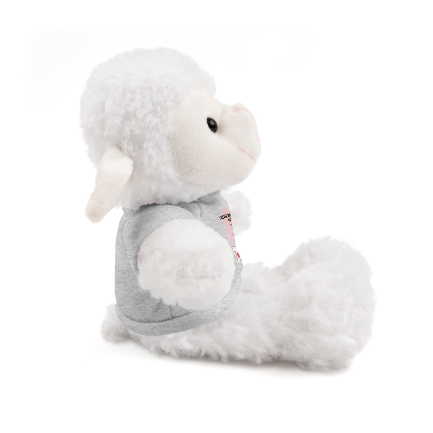 Stuffed Animals with Tee valentine gifts for your loved ones | valentine special